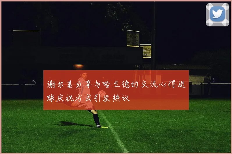 谢尔基分享与哈兰德的交流心得进球庆祝方式引发热议