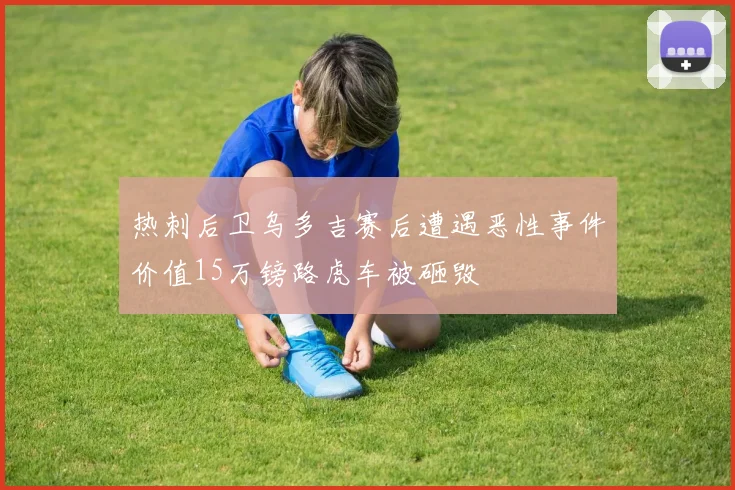 热刺后卫乌多吉赛后遭遇恶性事件价值15万镑路虎车被砸毁