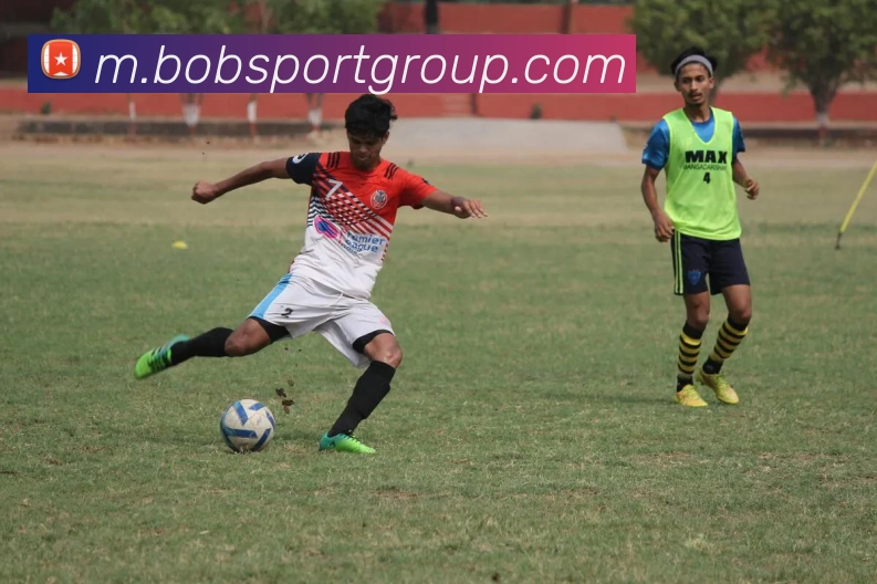 BOB足球平台生态图