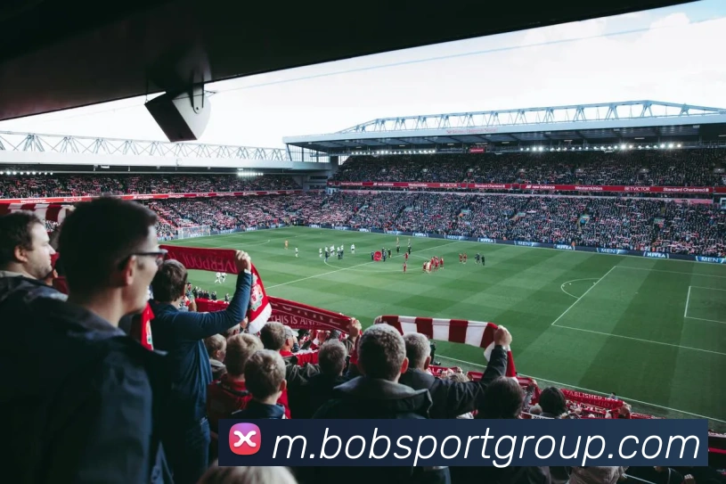 BOB足球APP 封面图